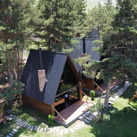 Elia Loft Villa Kazbegi Bagian luar foto